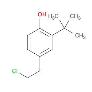 Phenol, 4-(2-chloroethyl)-2-(1,1-dimethylethyl)-