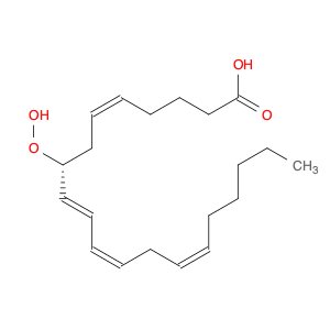 5,9,11,14-Eicosatetraenoicacid, 8-hydroperoxy-, (5Z,8R,9E,11Z,14Z)-