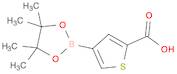 2-Thiophenecarboxylic acid, 4-(4,4,5,5-tetramethyl-1,3,2-dioxaborolan-2-yl)-