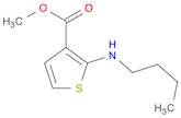 3-Thiophenecarboxylic acid, 2-(butylamino)-, methyl ester