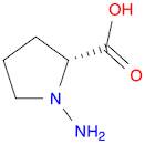 D-Proline, 1-amino-(9CI)