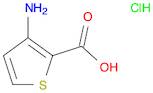 2-Thiophenecarboxylic acid, 3-amino-, hydrochloride (1:1)