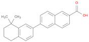 [2,2'-Binaphthalene]-6-carboxylic acid, 5',6',7',8'-tetrahydro-8',8'-dimethyl-