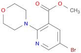 3-Pyridinecarboxylic acid, 5-bromo-2-(4-morpholinyl)-, methyl ester