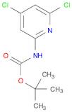 Carbamic acid, N-(4,6-dichloro-2-pyridinyl)-, 1,1-dimethylethyl ester