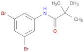 Propanamide, N-(3,5-dibromophenyl)-2,2-dimethyl-