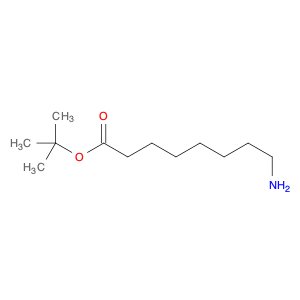 8-Aminooctanoic acid tert-butyl ester