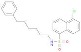 1-Naphthalenesulfonamide, 5-chloro-N-(6-phenylhexyl)-