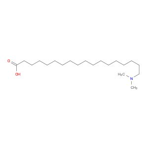 Octadecanoic acid, 18-(dimethylamino)-