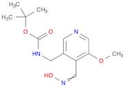 Carbamic acid, N-[[4-[(hydroxyimino)methyl]-5-methoxy-3-pyridinyl]methyl]-, 1,1-dimethylethyl ester