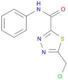 1,3,4-Thiadiazole-2-carboxamide, 5-(chloromethyl)-N-phenyl-