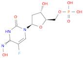 5'-Uridylic acid, 2'-deoxy-5-fluoro-, 4-oxime (9CI)