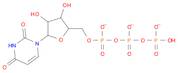 Uridine 5'-(tetrahydrogen triphosphate), sodium salt, hydrate (1:3:2)