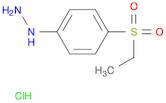 Hydrazine, [4-(ethylsulfonyl)phenyl]-, hydrochloride (1:1)