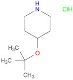 Piperidine, 4-(1,1-dimethylethoxy)-, hydrochloride (1:1)