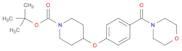 1-Piperidinecarboxylic acid, 4-[4-(4-morpholinylcarbonyl)phenoxy]-, 1,1-dimethylethyl ester