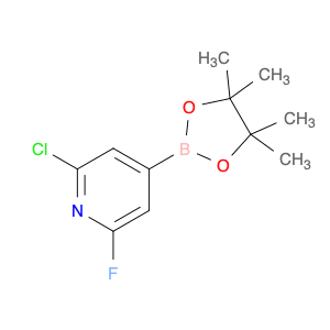 Pyridine, 2-chloro-6-fluoro-4-(4,4,5,5-tetramethyl-1,3,2-dioxaborolan-2-yl)-