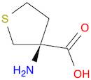 3-Thiophenecarboxylic acid, 3-aminotetrahydro-, (S)- (9CI)