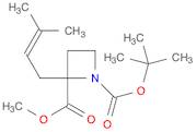 1,2-Azetidinedicarboxylic acid, 2-(3-methyl-2-buten-1-yl)-, 1-(1,1-dimethylethyl) 2-methyl ester