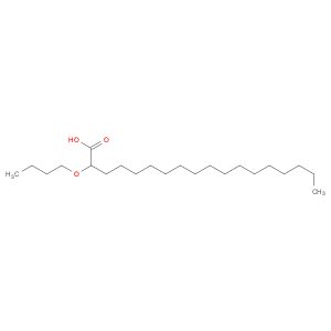 Octadecanoic acid, butoxy- (9CI)