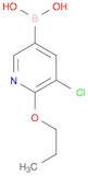 Boronic acid, B-(5-chloro-6-propoxy-3-pyridinyl)-