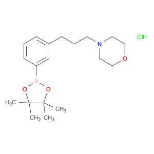 Morpholine, 4-[3-[3-(4,4,5,5-tetramethyl-1,3,2-dioxaborolan-2-yl)phenyl]propyl]-, hydrochloride (1…