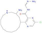 2-Pyrazinecarboxamide, 3-amino-N-(aminoiminomethyl)-5-azacyclotridec-1-yl-6-chloro-