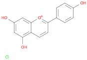 1-Benzopyrylium, 5,7-dihydroxy-2-(4-hydroxyphenyl)-, chloride (1:1)