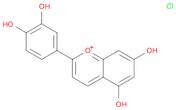 1-Benzopyrylium, 2-(3,4-dihydroxyphenyl)-5,7-dihydroxy-, chloride (1:1)