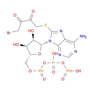 Adenosine 5'-(tetrahydrogen triphosphate), 8-[(4-bromo-2,3-dioxobutyl)thio]- (9CI)