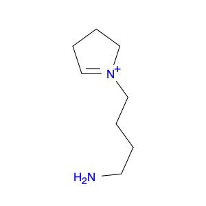 2H-Pyrrolium, 1-(4-aminobutyl)-3,4-dihydro-