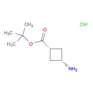 cis-tert-Butyl 3-aminocyclobutanecarboxylate hydrochloride