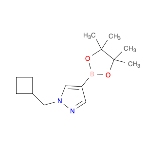 1H-Pyrazole, 1-(cyclobutylmethyl)-4-(4,4,5,5-tetramethyl-1,3,2-dioxaborolan-2-yl)-