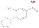 Benzoic acid, 3-amino-4-(1-pyrrolidinyl)-