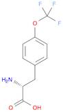 D-Tyrosine, O-(trifluoromethyl)-