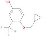 Phenol, 4-(cyclopropylmethoxy)-3-(trifluoromethyl)-