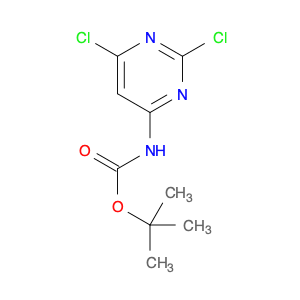 Carbamic acid, N-(2,6-dichloro-4-pyrimidinyl)-, 1,1-dimethylethyl ester