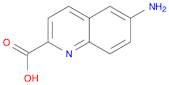 2-Quinolinecarboxylic acid, 6-amino-