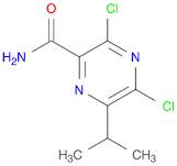 2-Pyrazinecarboxamide, 3,5-dichloro-6-(1-methylethyl)-