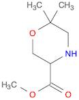 3-Morpholinecarboxylic acid, 6,6-dimethyl-, methyl ester