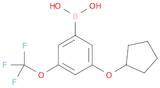 Boronic acid, B-[3-(cyclopentyloxy)-5-(trifluoromethoxy)phenyl]-