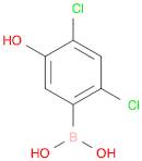 Boronic acid, B-(2,4-dichloro-5-hydroxyphenyl)-