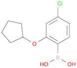 Boronic acid, B-[4-chloro-2-(cyclopentyloxy)phenyl]-