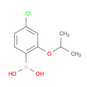 Boronic acid, B-[4-chloro-2-(1-methylethoxy)phenyl]-