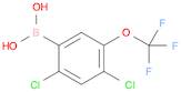 Boronic acid, B-[2,4-dichloro-5-(trifluoromethoxy)phenyl]-