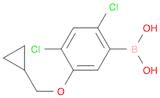 Boronic acid, B-[2,4-dichloro-5-(cyclopropylmethoxy)phenyl]-