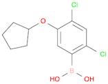 Boronic acid, B-[2,4-dichloro-5-(cyclopentyloxy)phenyl]-