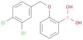 Boronic acid, B-[2-[(3,4-dichlorophenyl)methoxy]phenyl]-