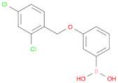 Boronic acid, B-[3-[(2,4-dichlorophenyl)methoxy]phenyl]-