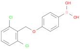 Boronic acid, B-[4-[(2,6-dichlorophenyl)methoxy]phenyl]-